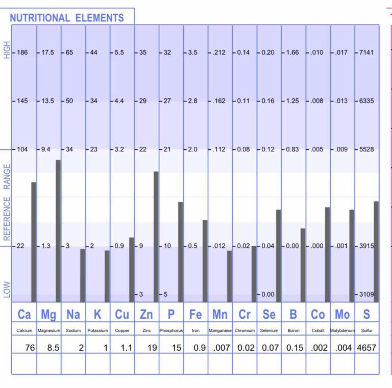 htma test results