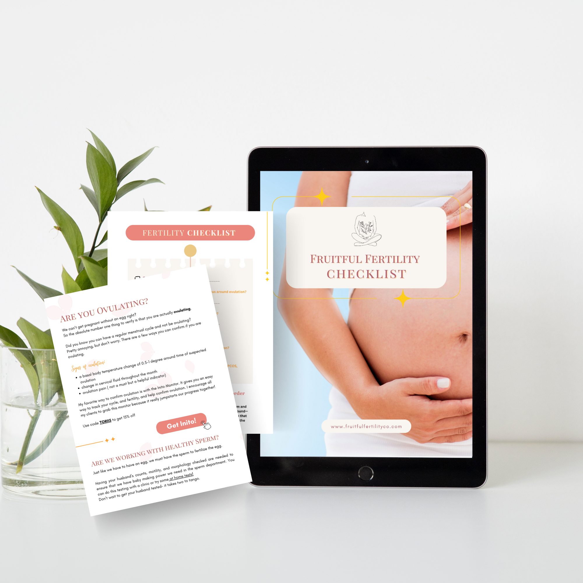 picture of fertility checkist